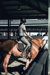 Descubre la hípica en Valencia en Club Ecuestre Valencia: equitación, escuela, competición y bienestar del caballo desde 1991.