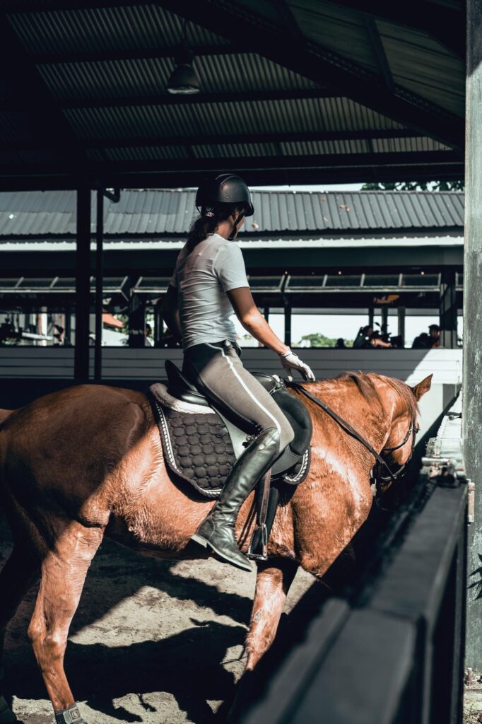 Descubre la hípica en Valencia en Club Ecuestre Valencia: equitación, escuela, competición y bienestar del caballo desde 1991.